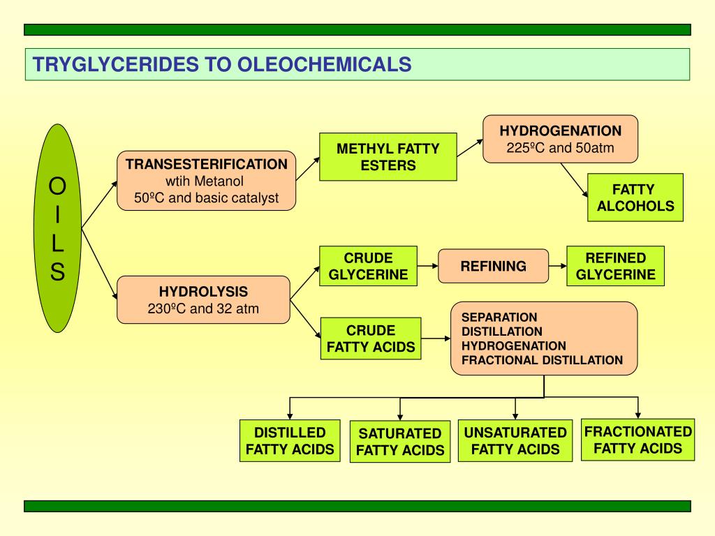 PPT BIOCATALYTIC PROCESSES FOR THE PRODUCTION OF FATTY ACID ESTERS