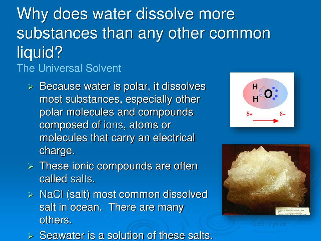 PPT Chemical and Physical Features of Seawater and the World Ocean