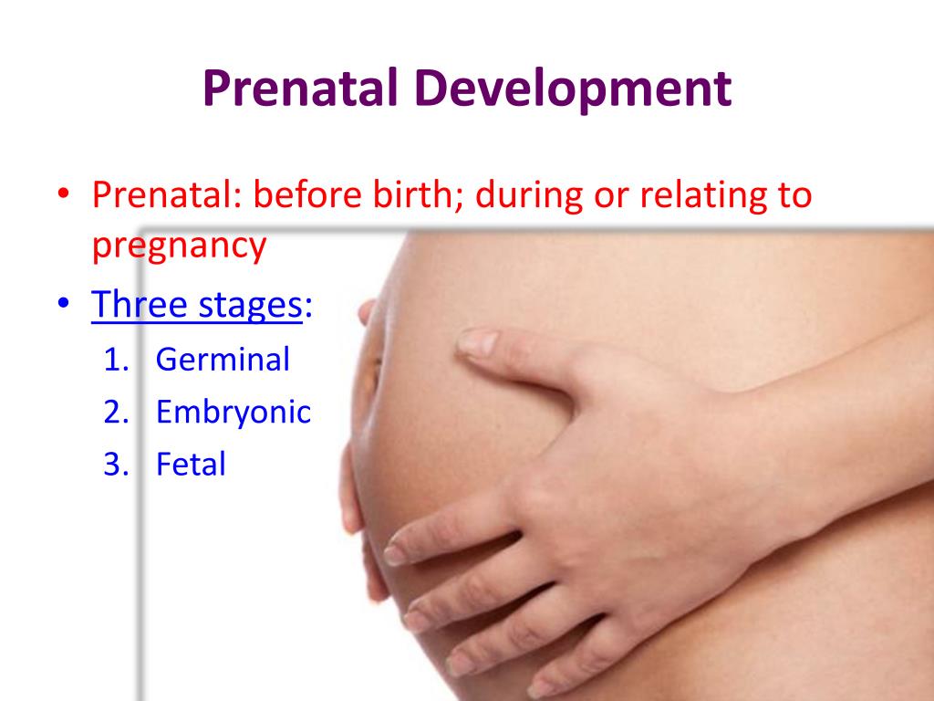 PPT Developmental Psychology PowerPoint Presentation, free download