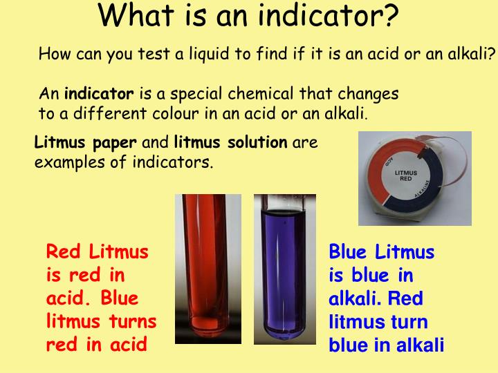 What Is An Indicator Name Three Indicators Class 7 at Keith Jordan blog