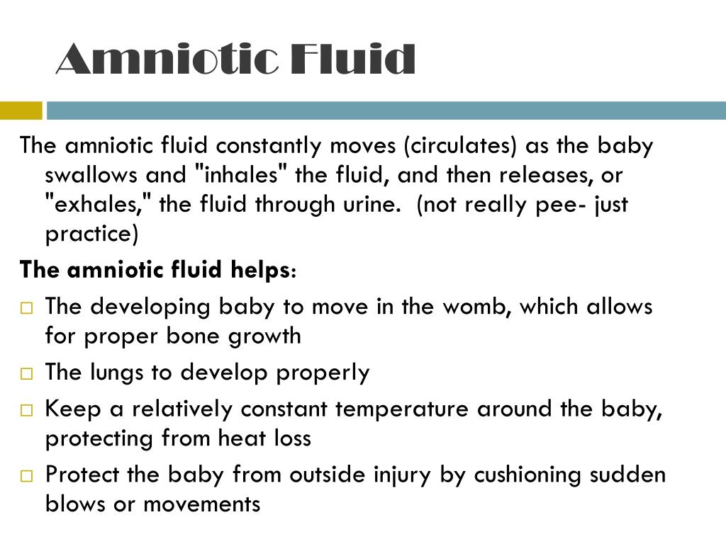 PPT Prenatal Development Fetal Support System PowerPoint Presentation