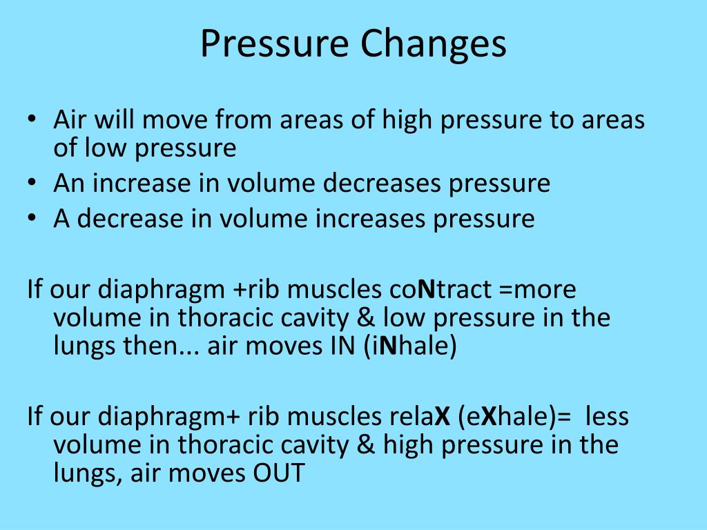 PPT Breathing Processes PowerPoint Presentation, free download ID2790774