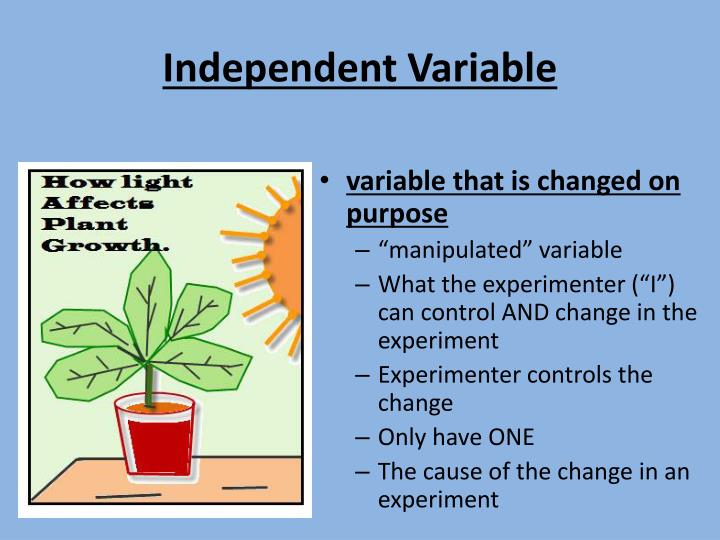 PPT Scientific Inquiry WarmUp 1 PowerPoint Presentation ID2791749