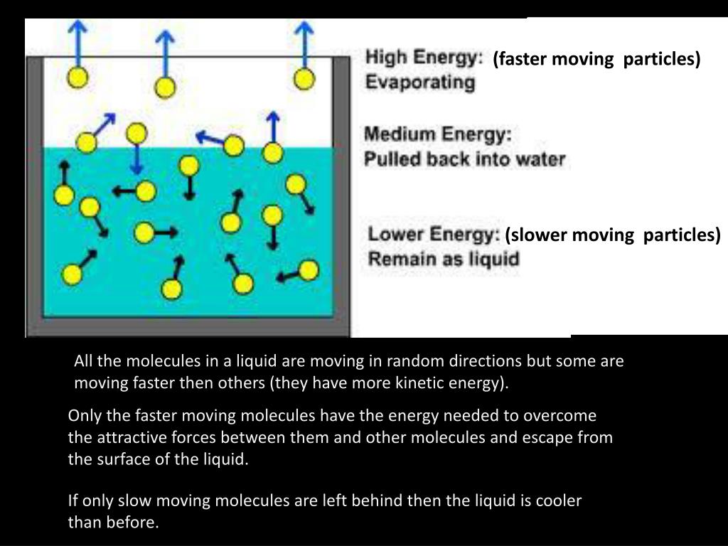 PPT Evaporation & Condensation PowerPoint Presentation, free download