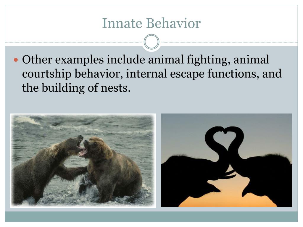PPT youtube/watch?v=vZNeRWchqRc&list=PLFCE4D99C4124A27A Essential