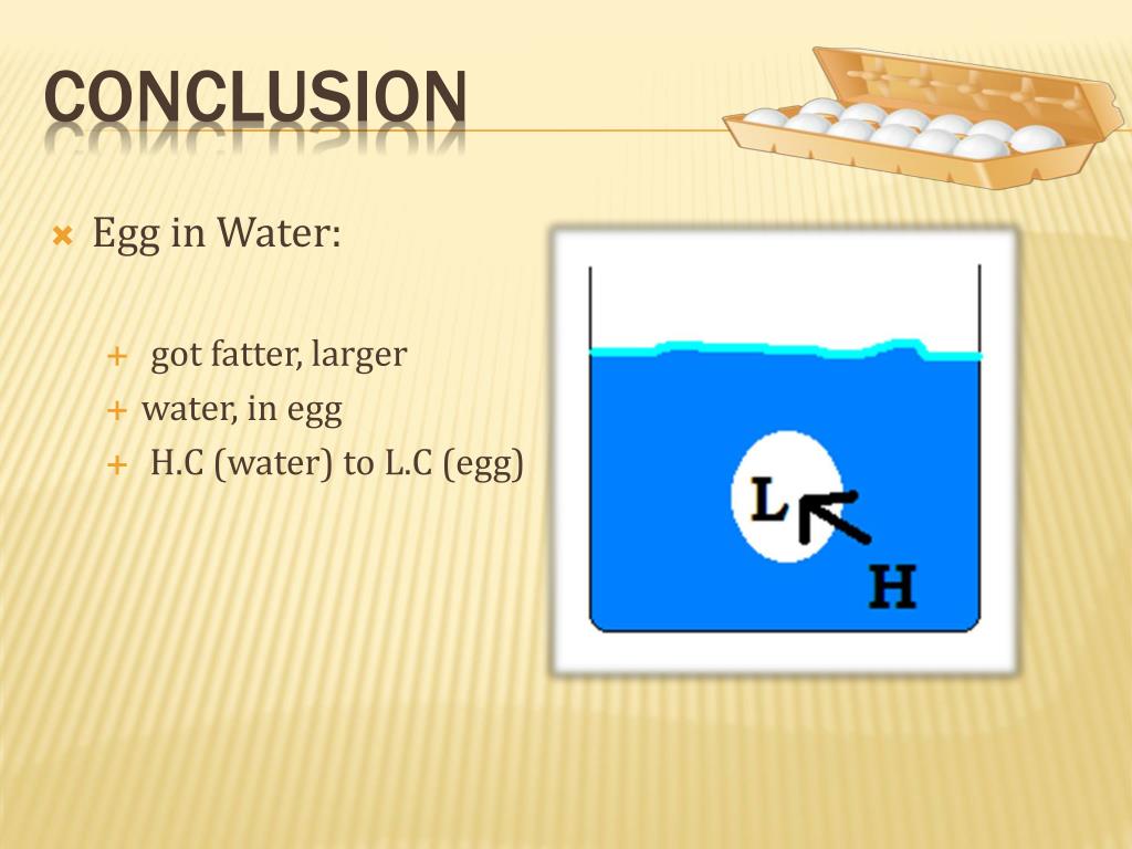 PPT Egg Osmosis Experiment PowerPoint Presentation, free download
