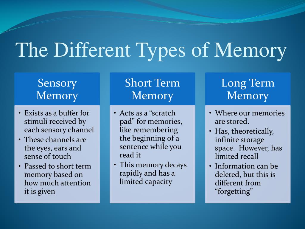 PPT Human Memory PowerPoint Presentation, free download ID2797670