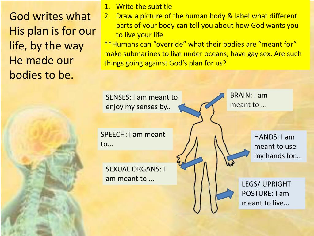 PPT To define “theology of the body” To explain how we are connected