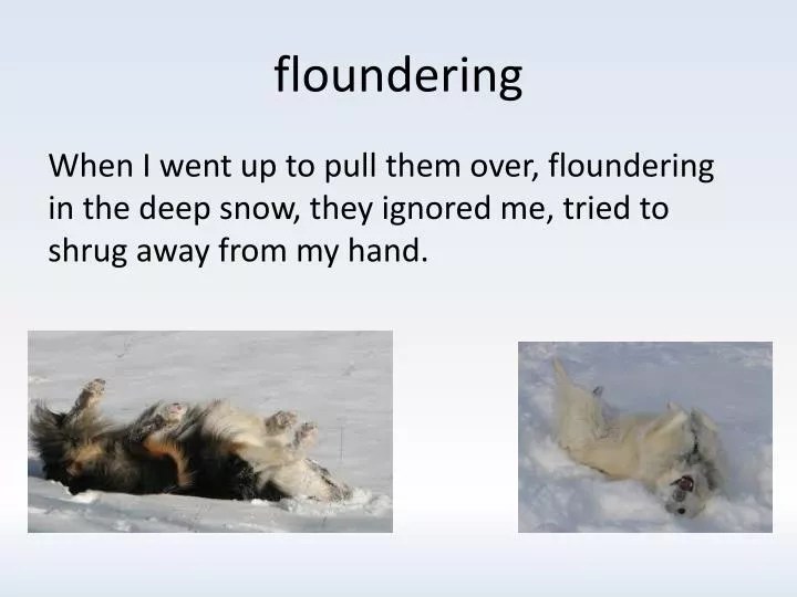 PPT floundering PowerPoint Presentation, free download ID2803263