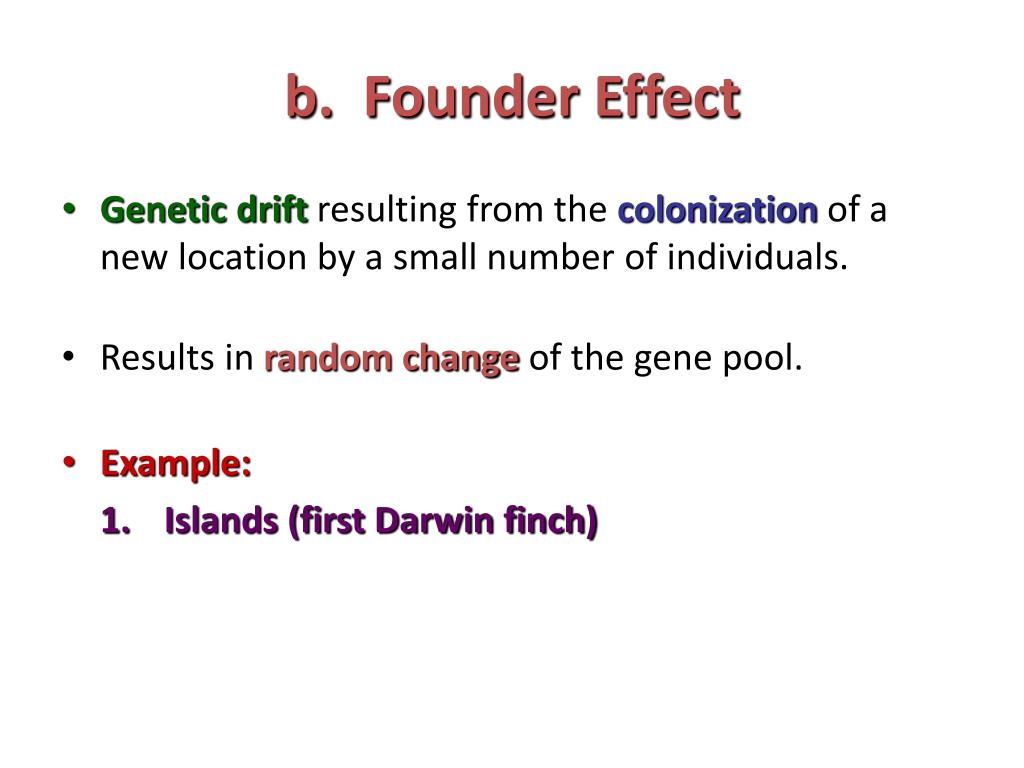 PPT Evidence of Evolution PowerPoint Presentation, free download ID