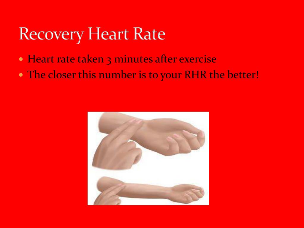 PPT Cardiovascular Endurance PowerPoint Presentation ID2803615