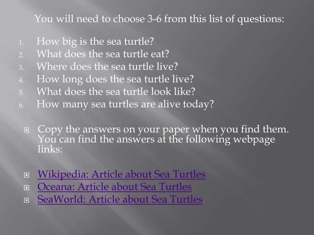 Which sea turtles live in the Florida Keys?