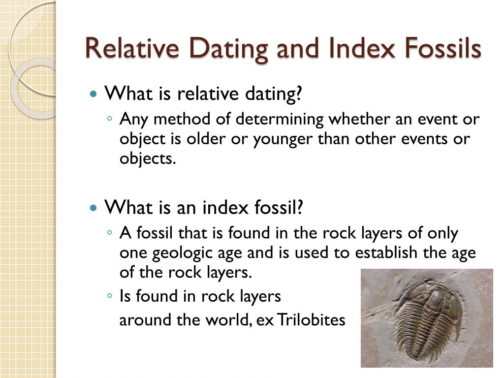 PPT Fossils and The Law of Superposition PowerPoint Presentation, free download ID2807007