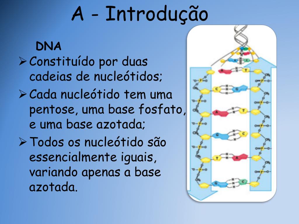 PPT Quantos e qual o tipo de micróbios que existem em