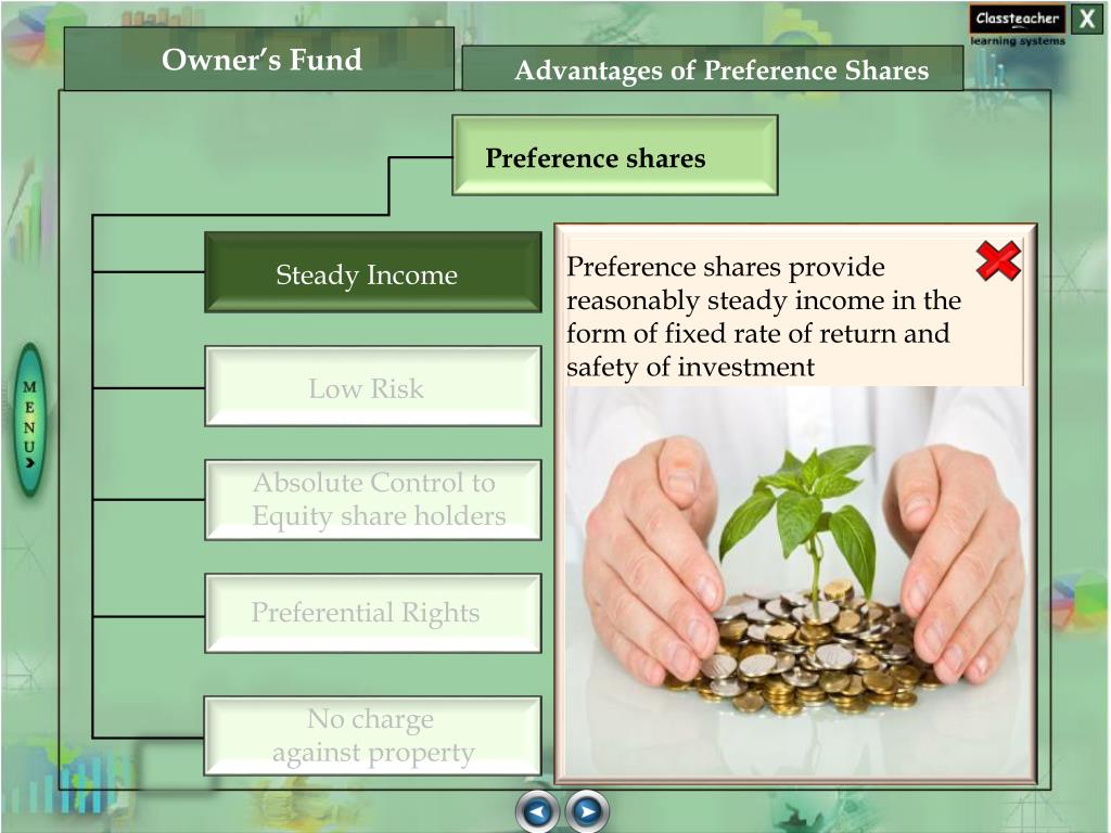 PPT Owner’s Fund PowerPoint Presentation, free download ID2809762