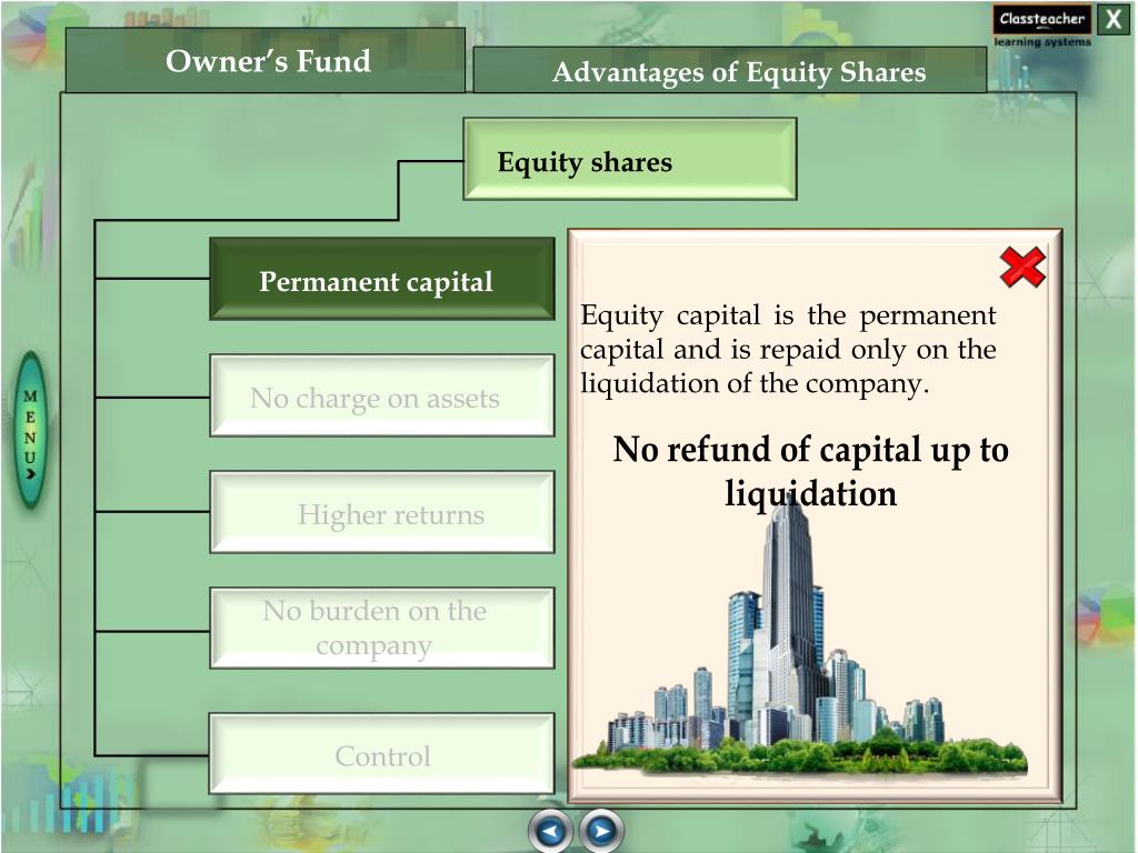 PPT Owner’s Fund PowerPoint Presentation, free download ID2809762