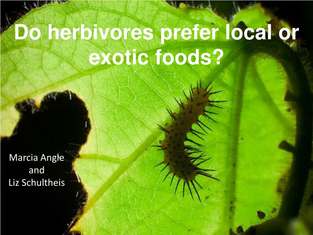 PPT Do herbivores prefer local or exotic foods? PowerPoint