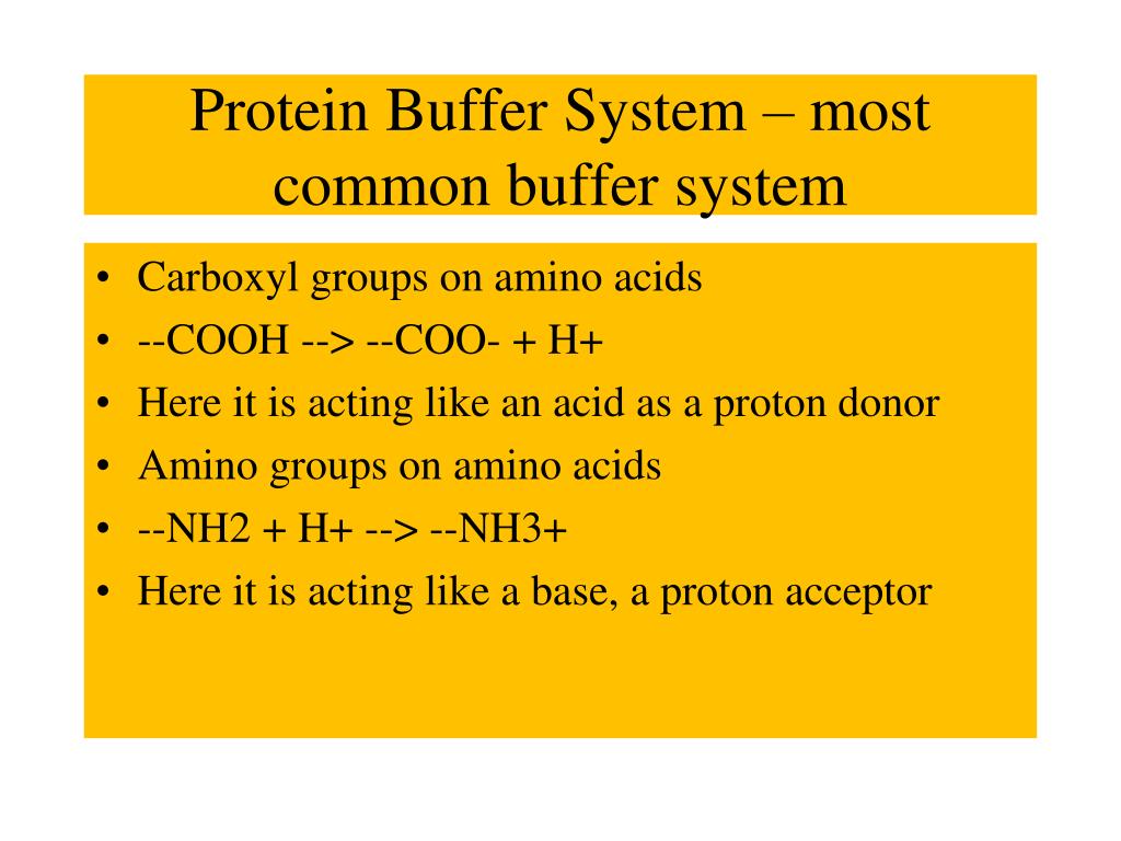 PPT Regulation of [H + ] PowerPoint Presentation, free download ID