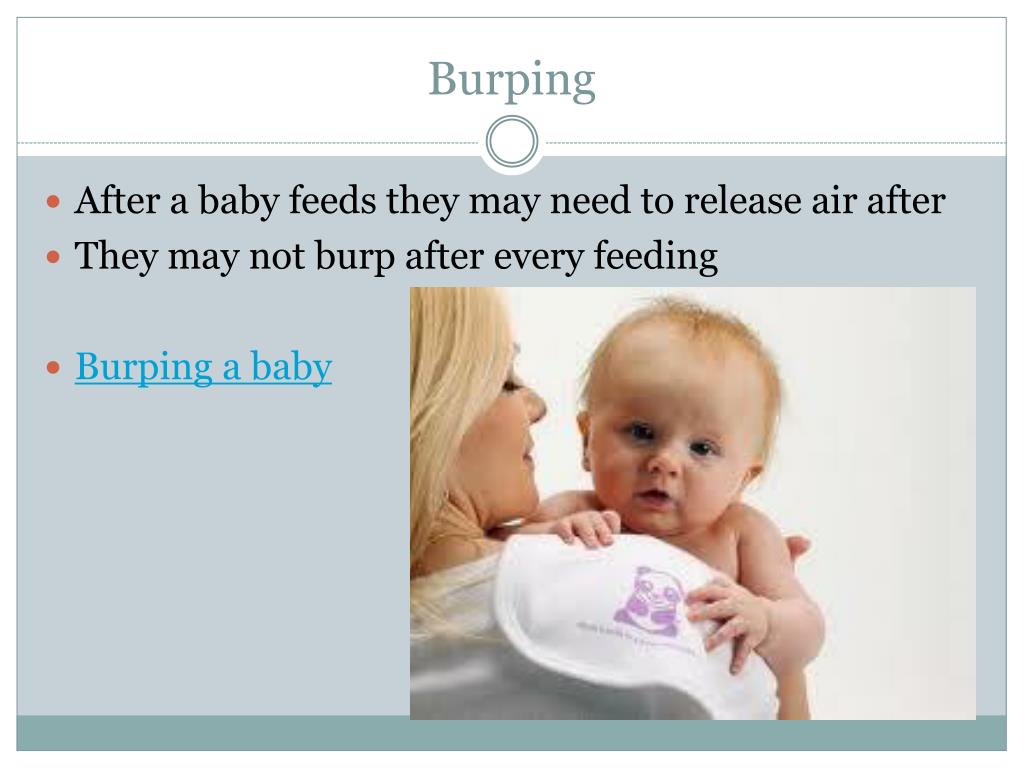 PPT Feeding PowerPoint Presentation, free download ID2815283