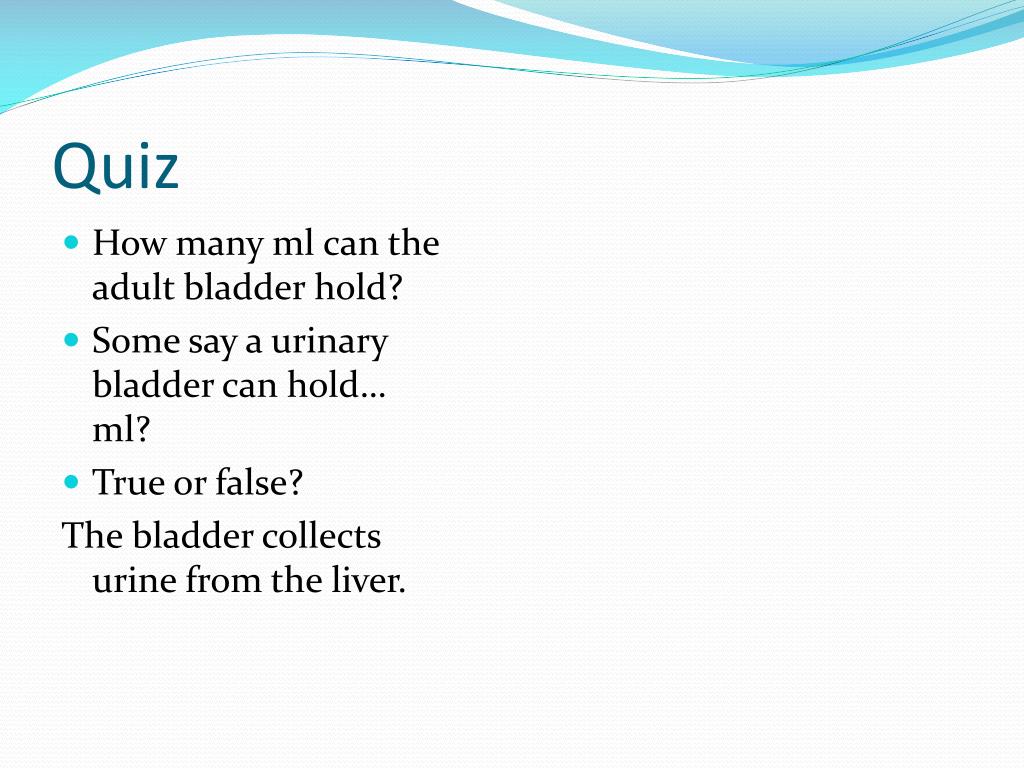 PPT The Bladder PowerPoint Presentation, free download ID2825537