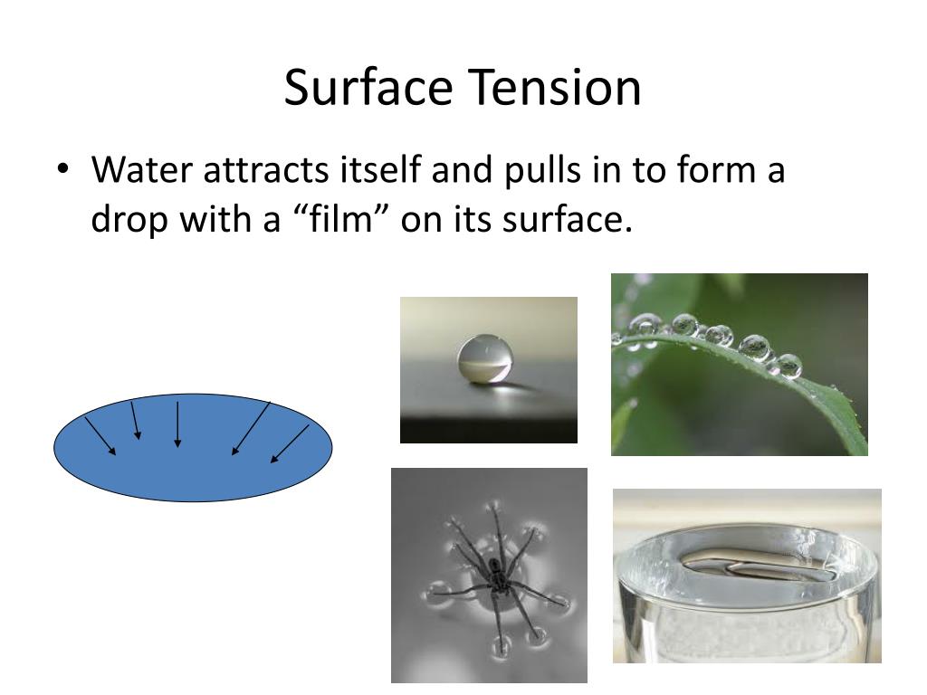PPT Unit 4 The Hydrosphere PowerPoint Presentation, free download