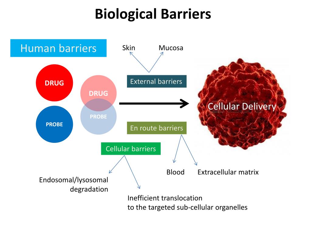 PPT Module 1C Biological Barriers PowerPoint Presentation, free