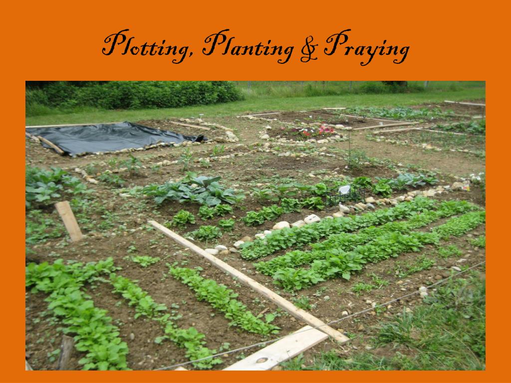 PPT Southfield Community Gardens PowerPoint Presentation, free