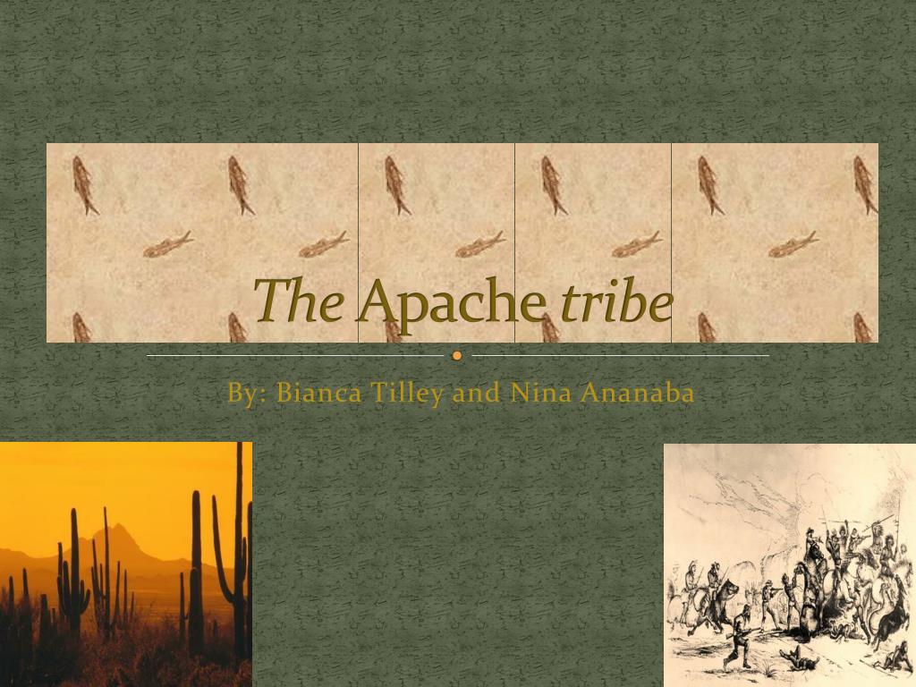 PPT The Apache tribe PowerPoint Presentation, free download ID2838831