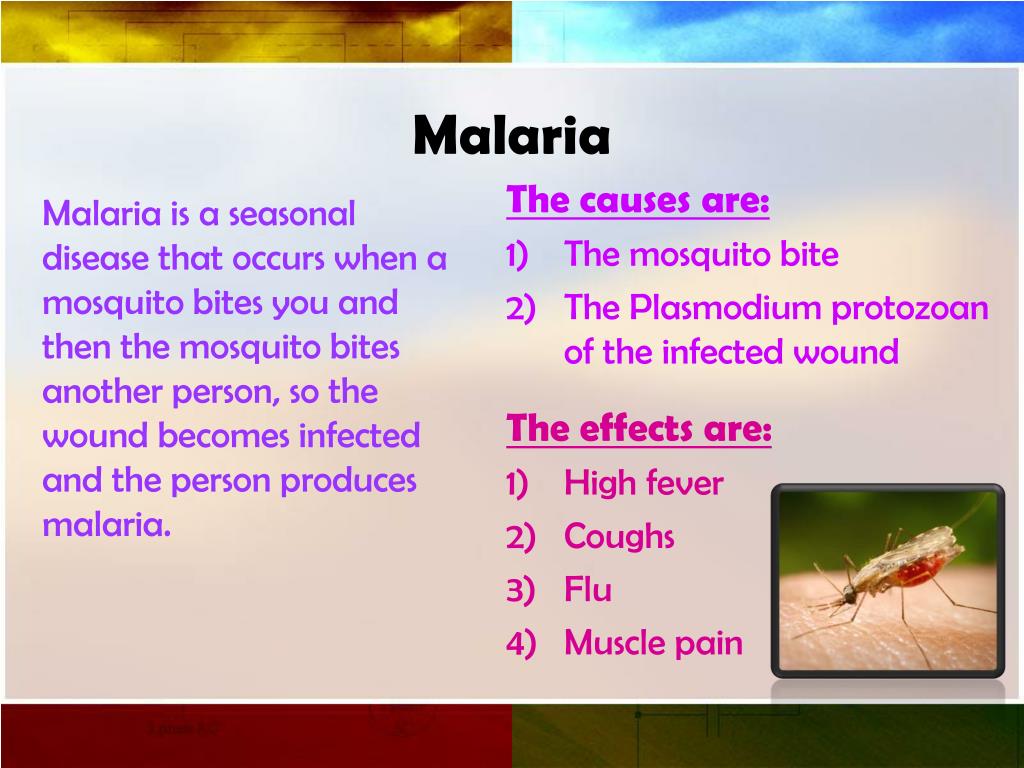 PPT Seasonal Diseases PowerPoint Presentation, free download ID2844950