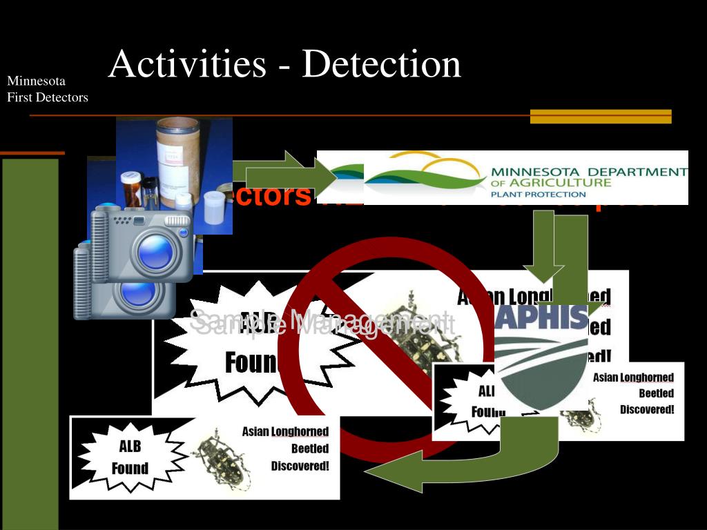 PPT Minnesota Forest Pest First Detector Program PowerPoint Presentation ID2845959