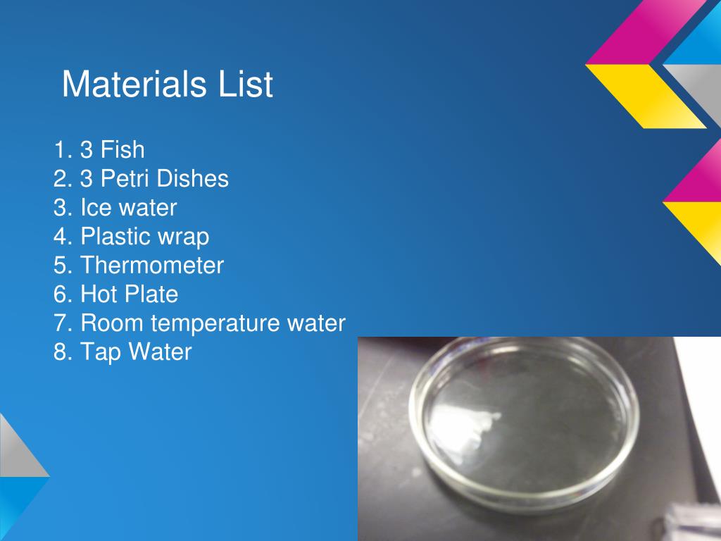 PPT How Does The Fortune Fish Move? PowerPoint Presentation, free