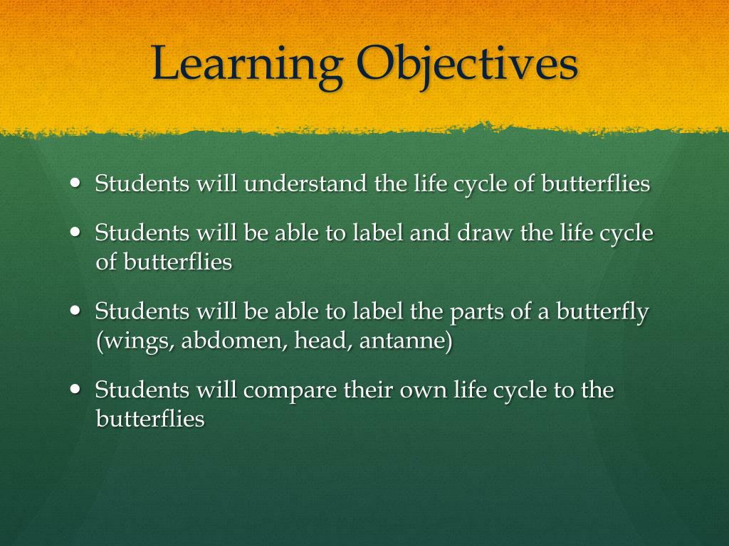 PPT Butterfly Life Cycle PowerPoint Presentation, free download ID