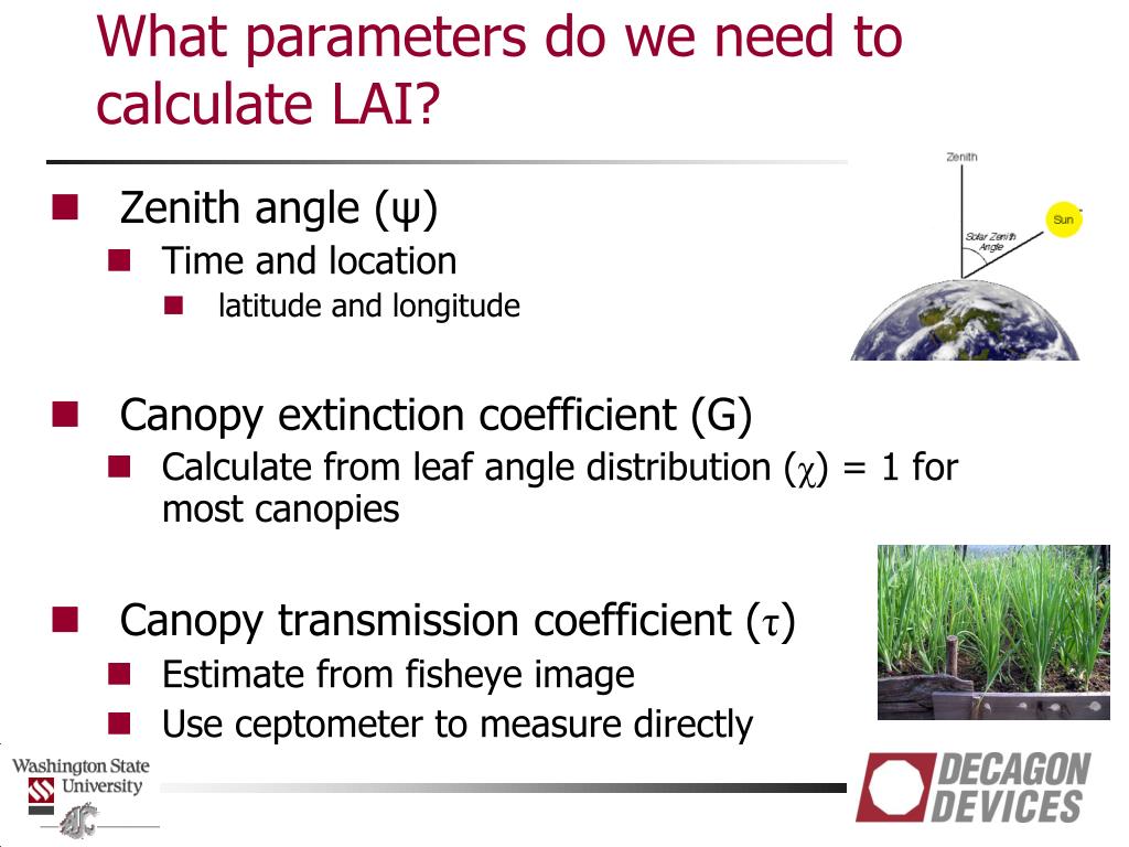 PPT Plant Canopy Analysis PowerPoint Presentation, free download ID