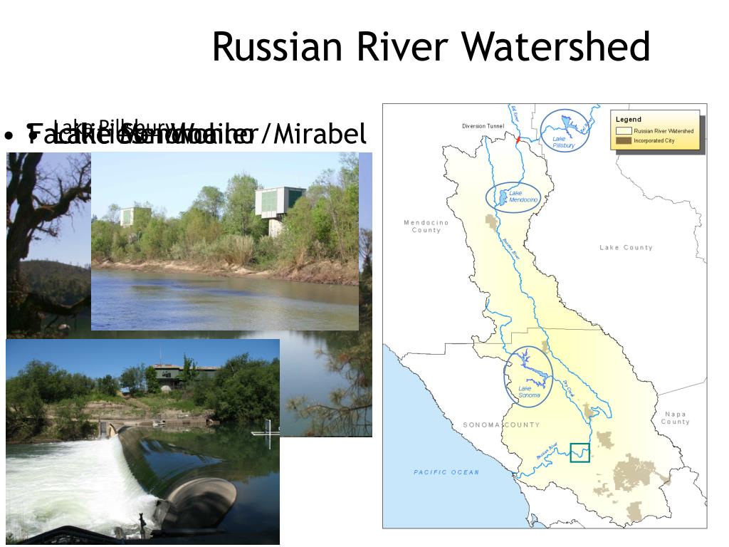 PPT Sonoma County Water Agency Overview of Russian River Water Flows