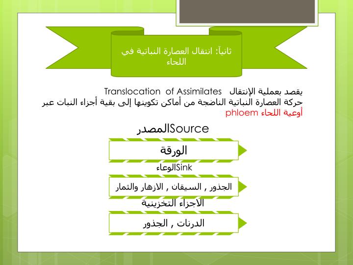 PPT إمتصاص وإنتقال العصارة النباتية PowerPoint