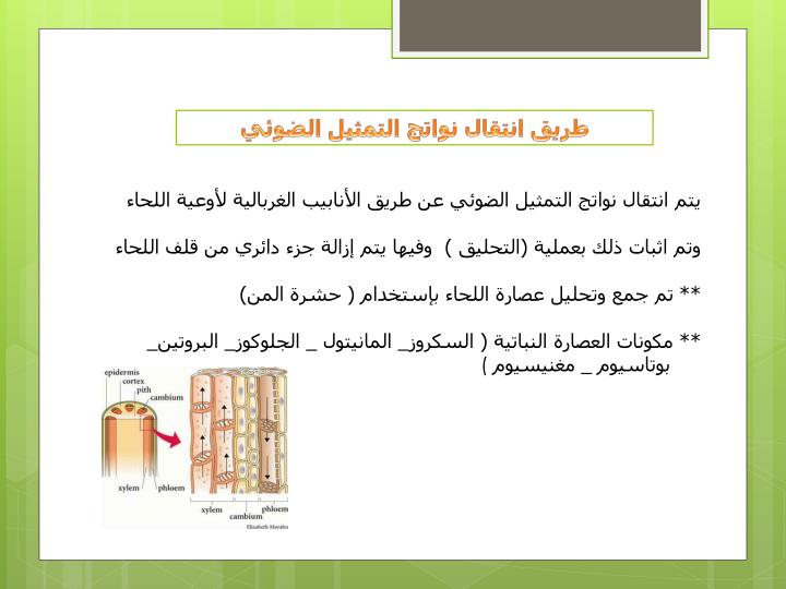 PPT إمتصاص وإنتقال العصارة النباتية PowerPoint