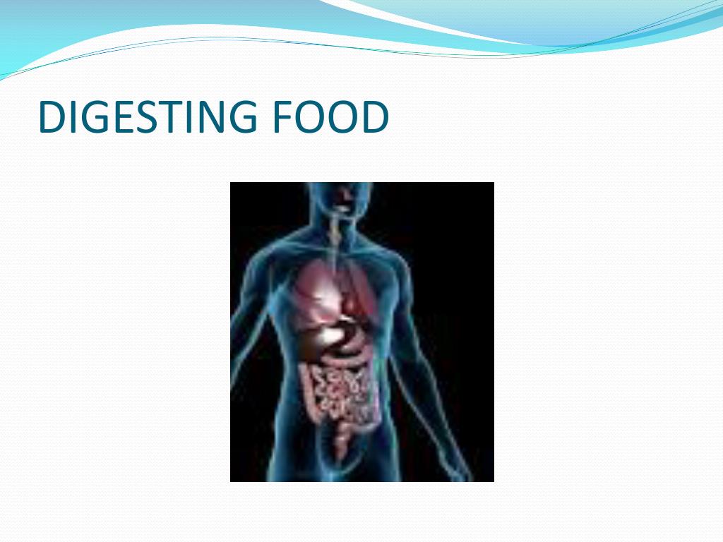 PPT PHYSICAL… CHEMICAL YOU Decide PowerPoint Presentation, free