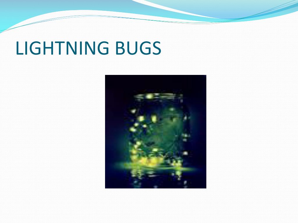 PPT PHYSICAL… CHEMICAL YOU Decide PowerPoint Presentation, free