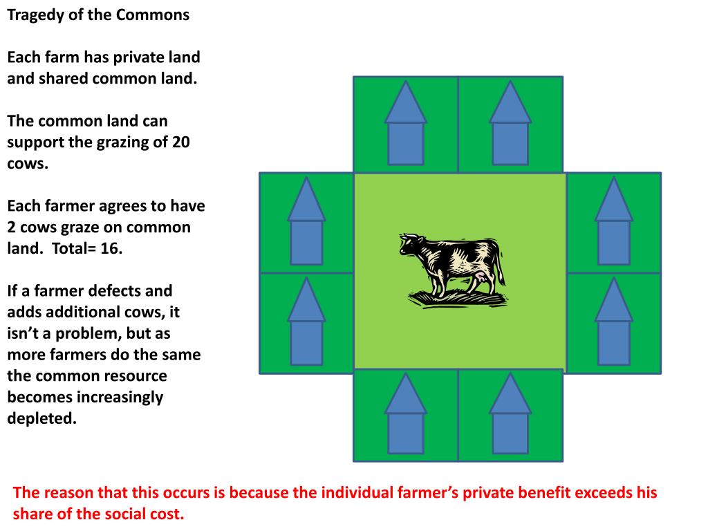 PPT The Tragedy of the Commons PowerPoint Presentation, free download