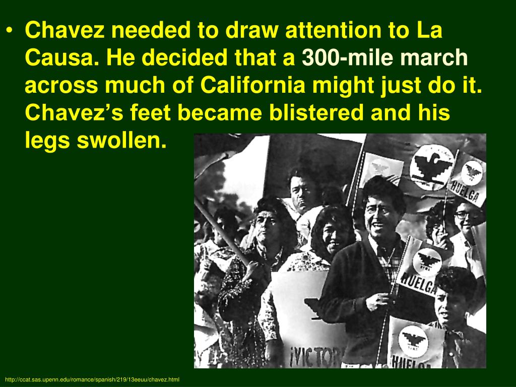 PPT Cesar Chavez La Causa & La Huelga PowerPoint Presentation ID