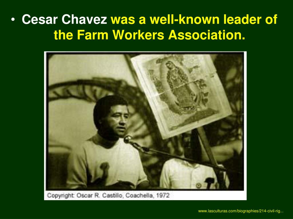 PPT Cesar Chavez La Causa & La Huelga PowerPoint Presentation ID