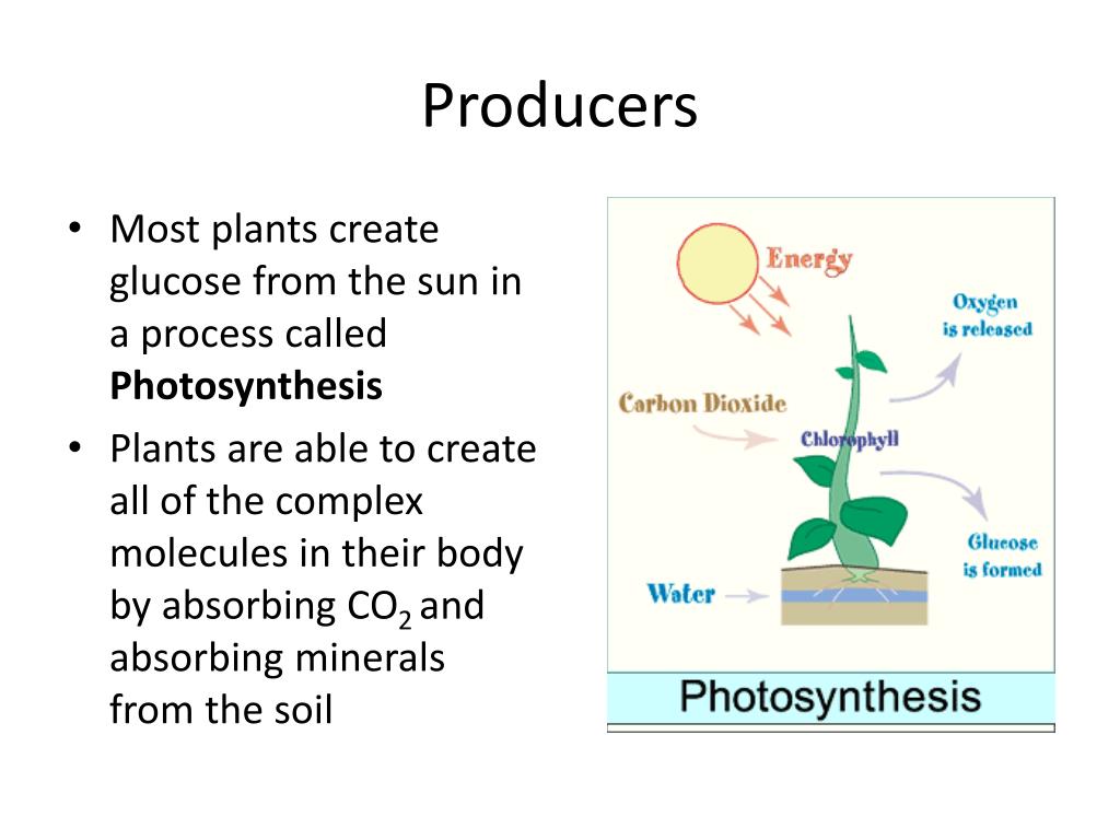 PPT Energy Transfer PowerPoint Presentation, free download ID2864047