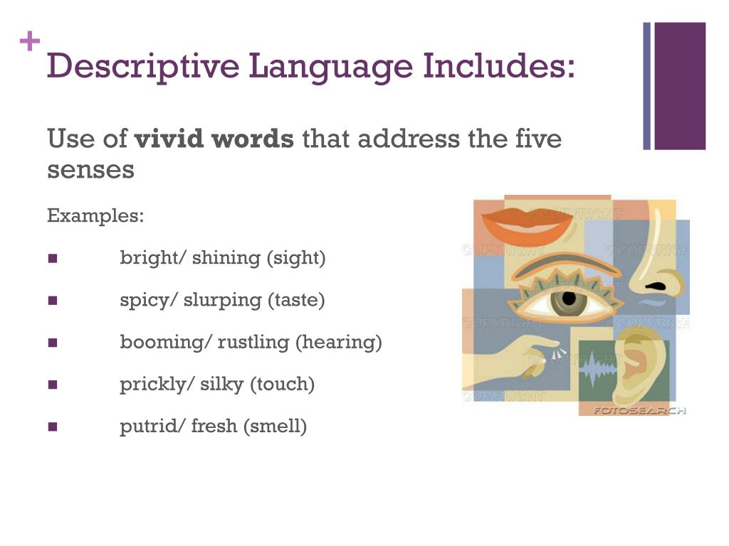 PPT - Imagery PowerPoint Presentation, free download - ID:2865533