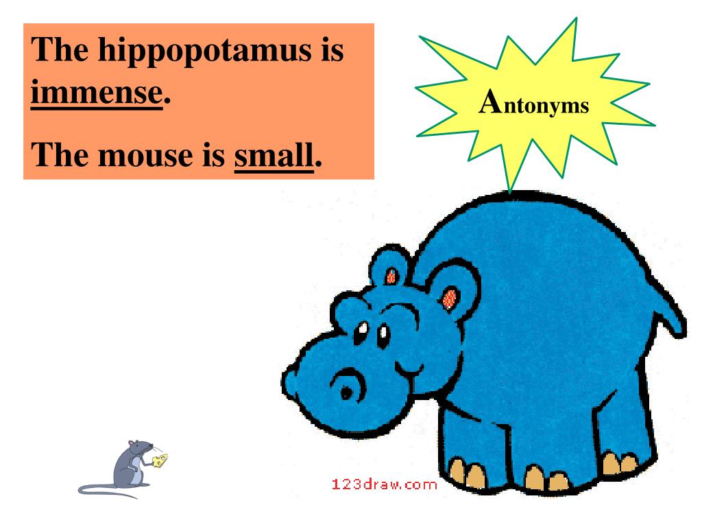 PPT Synonyms and Antonyms PowerPoint Presentation, free download ID