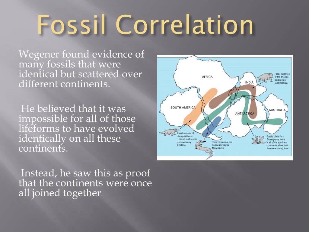 PPT Continental Drift and Plate Tectonics PowerPoint Presentation
