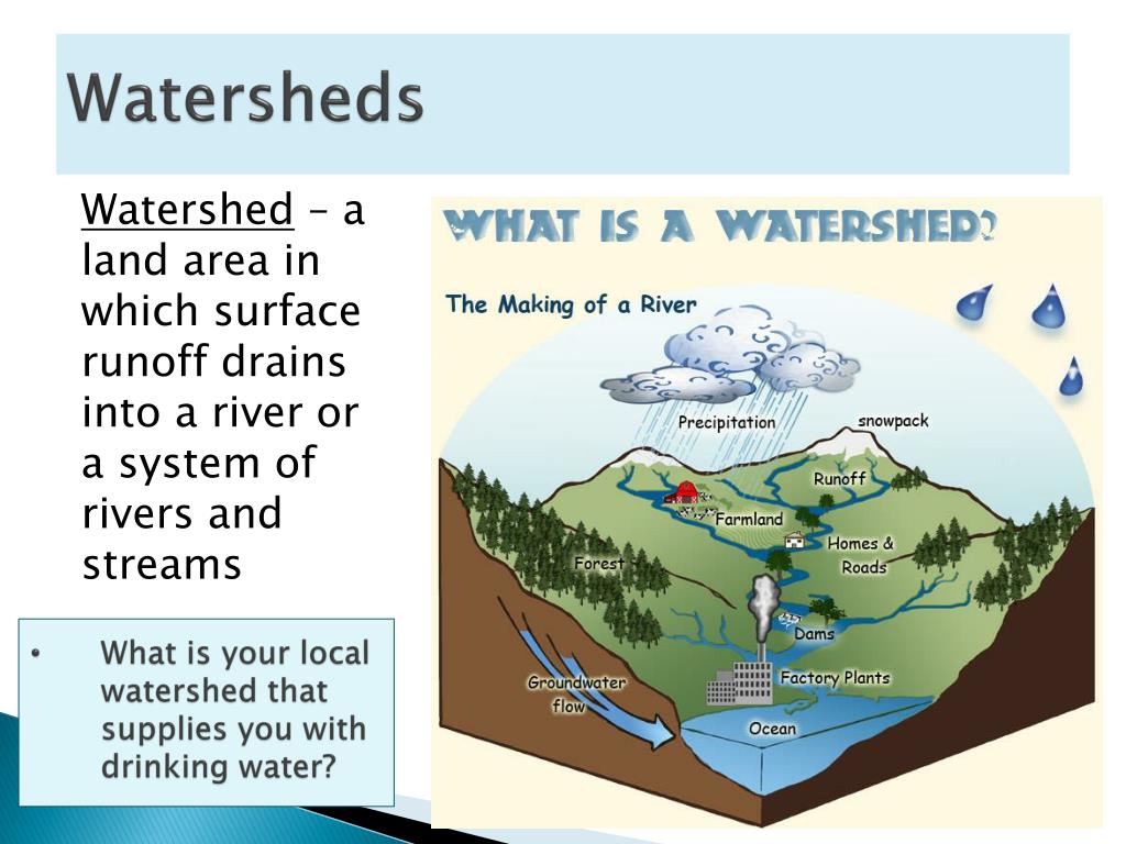 PPT Water Cycle PowerPoint Presentation ID2876403