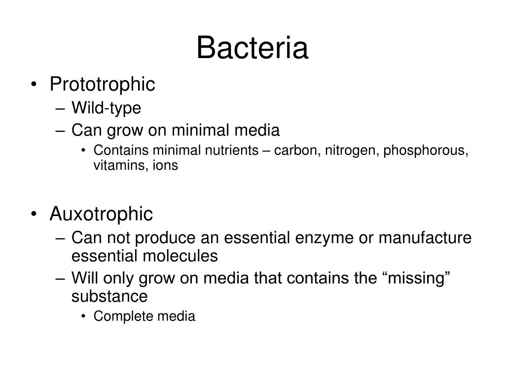 PPT Chapter 8 Bacterial and Viral Systems PowerPoint