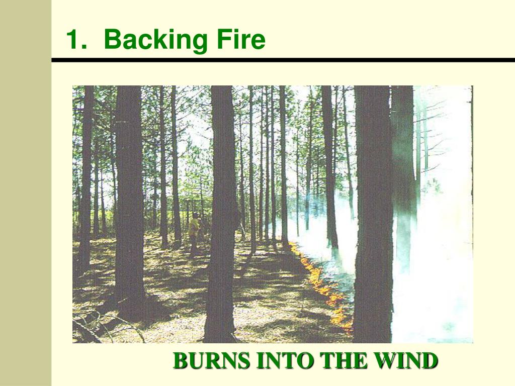 PPT Basic Fire Control Training PowerPoint Presentation, free download ID2884710