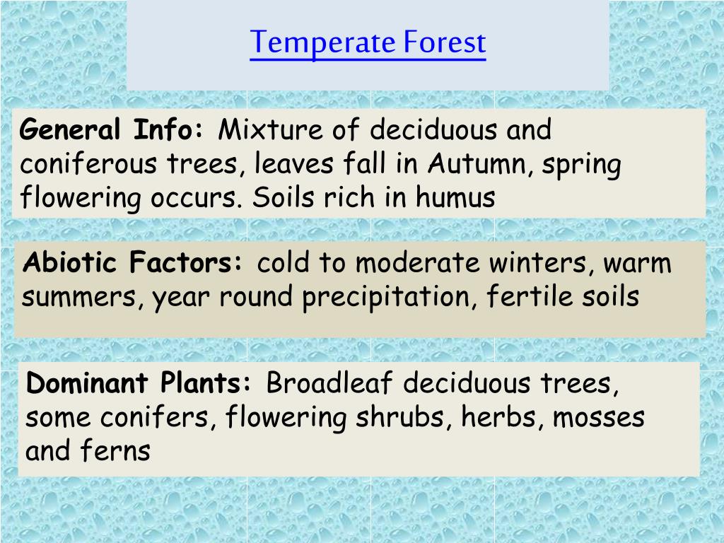 PPT Biomes PowerPoint Presentation, free download ID2885379