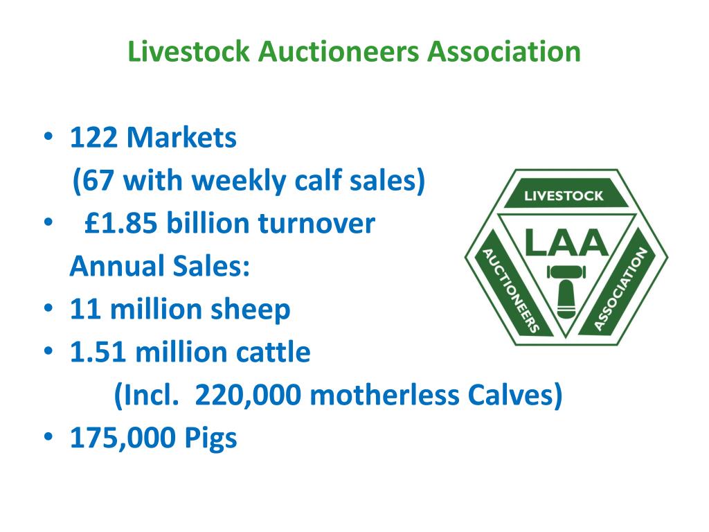 PPT Livestock Auctioneers Association PowerPoint Presentation, free